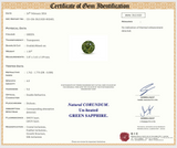 1.50 ct Green Sapphire Ovalish Natural Unheated Gemstone