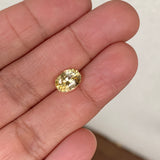 2.16 ct Yellow Sapphire Oval Shape Natural Unheated Gemstones