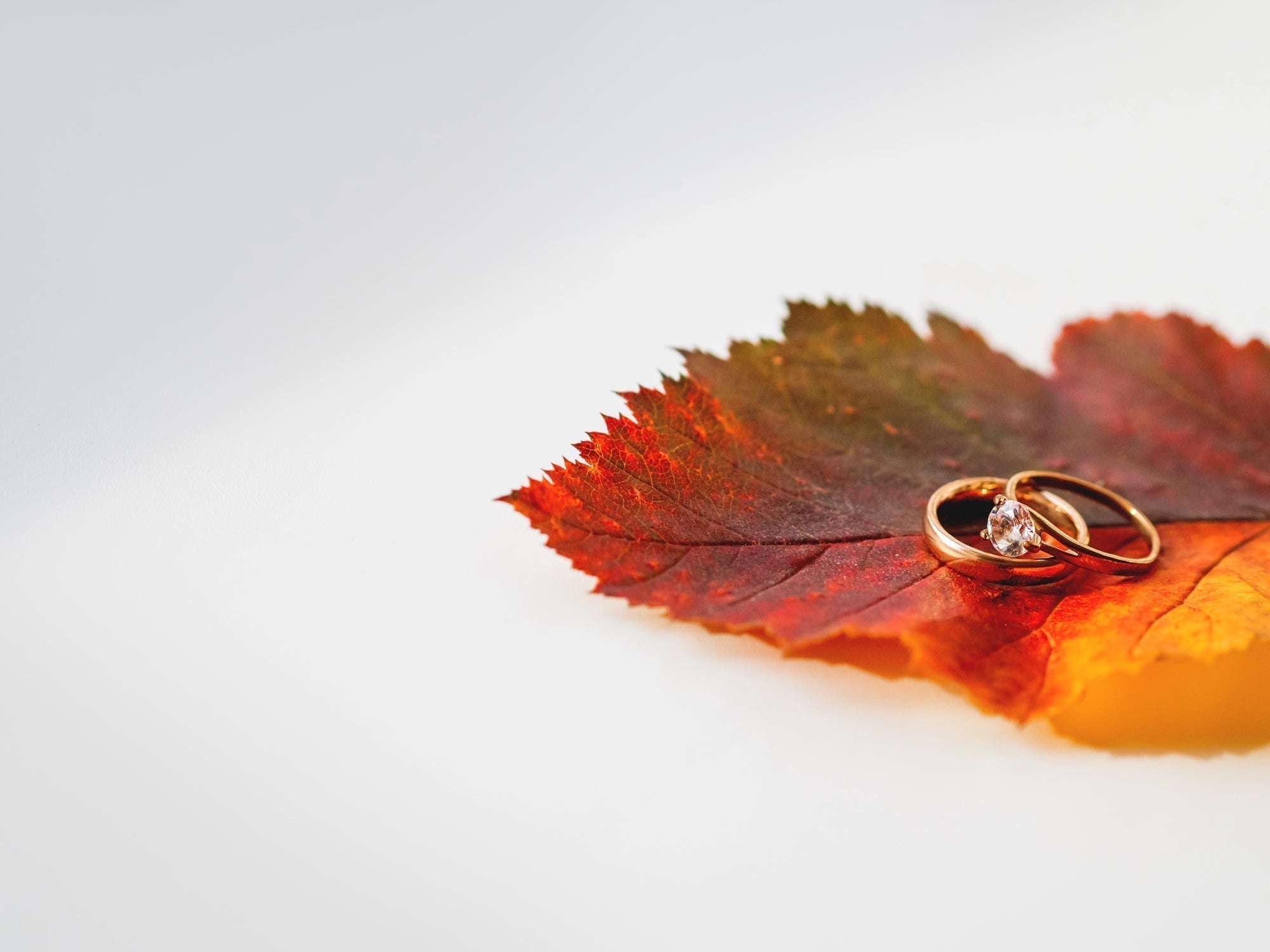 canadian maple leaf rings