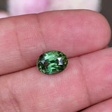 2.69 ct Green Sapphire Oval Heated Madagascar GIA Certified