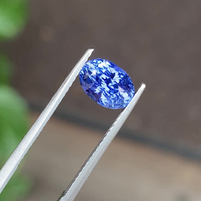 1.76 ct Cornflower Blue Sapphire Oval Shape Natural Unheated