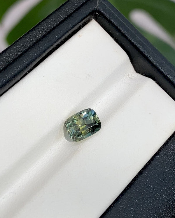 2.54 ct Green Sapphire Cushion Shape Natural Unheated Gems