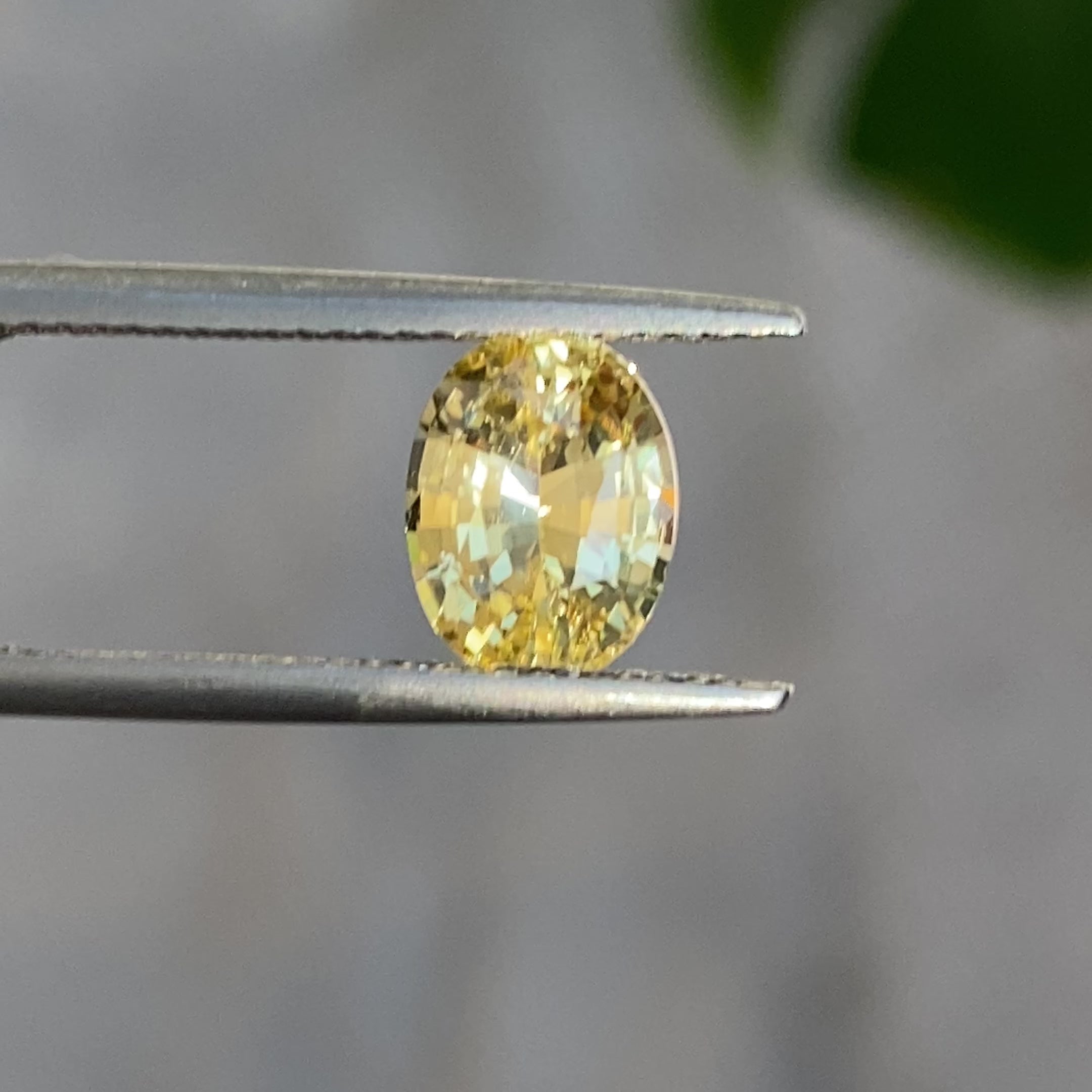 2.16 ct Yellow Sapphire Oval Shape Natural Unheated Gemstones