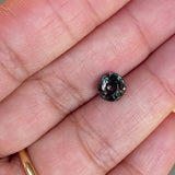 2.04 ct Brown Sapphire Round Natural Unheated