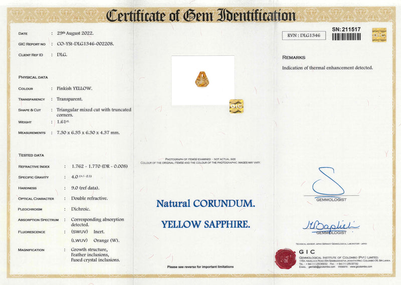 1.61 ct Yellow Sapphire Unique Shield Cut Heated Gemstones