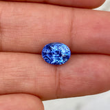 2-carat-blue-sapphire-gemstone-natural-BS1203.jpg