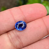 1.98 ct Cornflower Blue Oval Ceylon Sapphire Natural Unheated