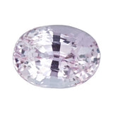 1.59 ct Mid Pink Natural  Oval Unheated Sapphire