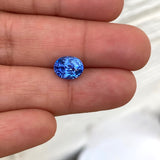 blue-sapphire-cornflower-unheated-BS1203.jpg