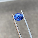 3.02 ct Oval Cornflower Blue Ceylon Sapphire Unheated