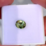 1.23 ct Sage Green Sapphire Oval Natural Unheated