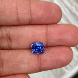3.25 ct Deep Cornflower Blue Cushion Cut Sapphire Unheated Sri Lanka