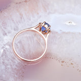 Cornflower Blue Sapphire Engagement Ring in Rose Gold