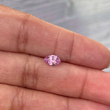 pink-sapphire-marquise-loose-gemstone
